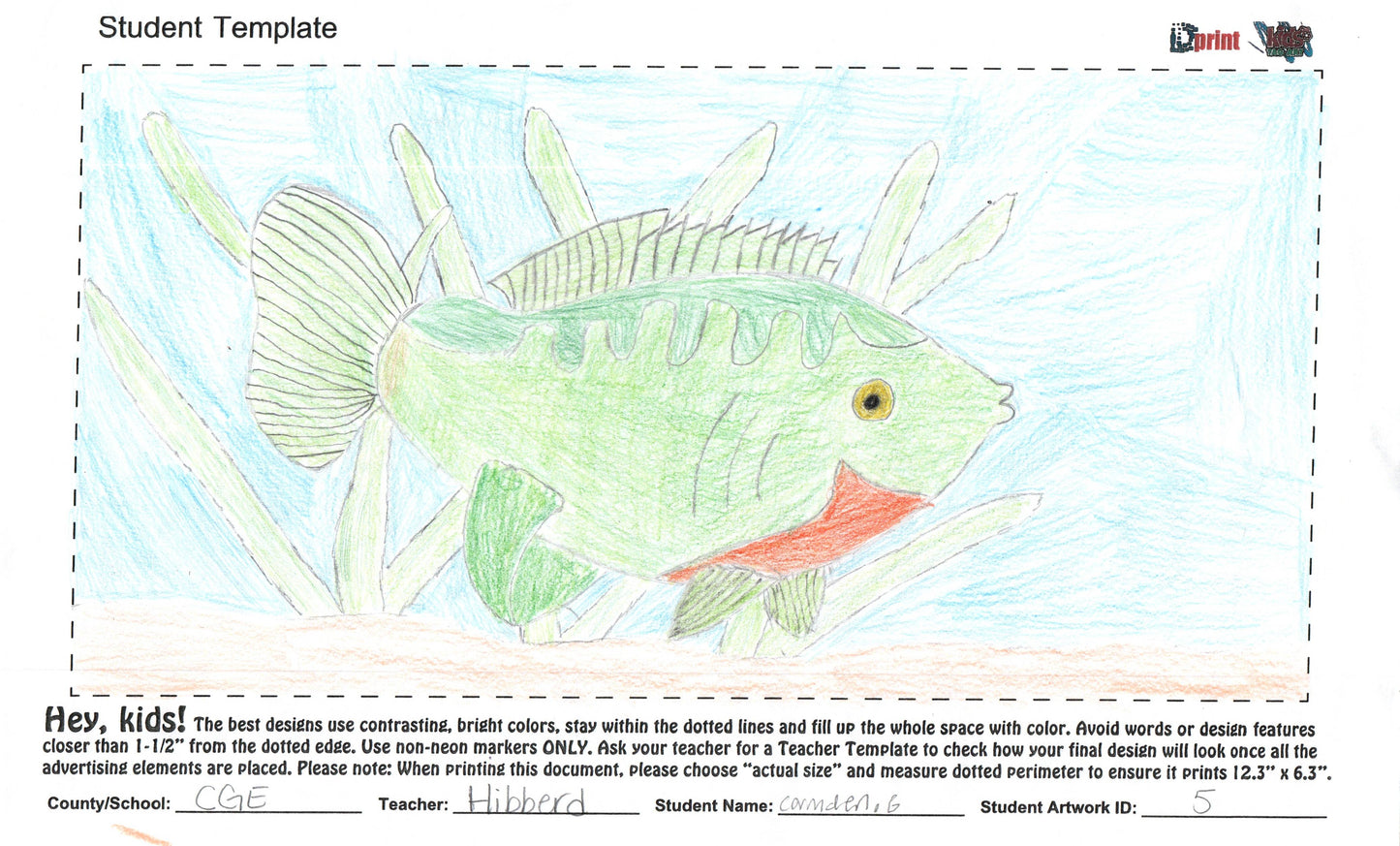 2025 - CITRUS GROVE ELEMENTARY - HIBBERD