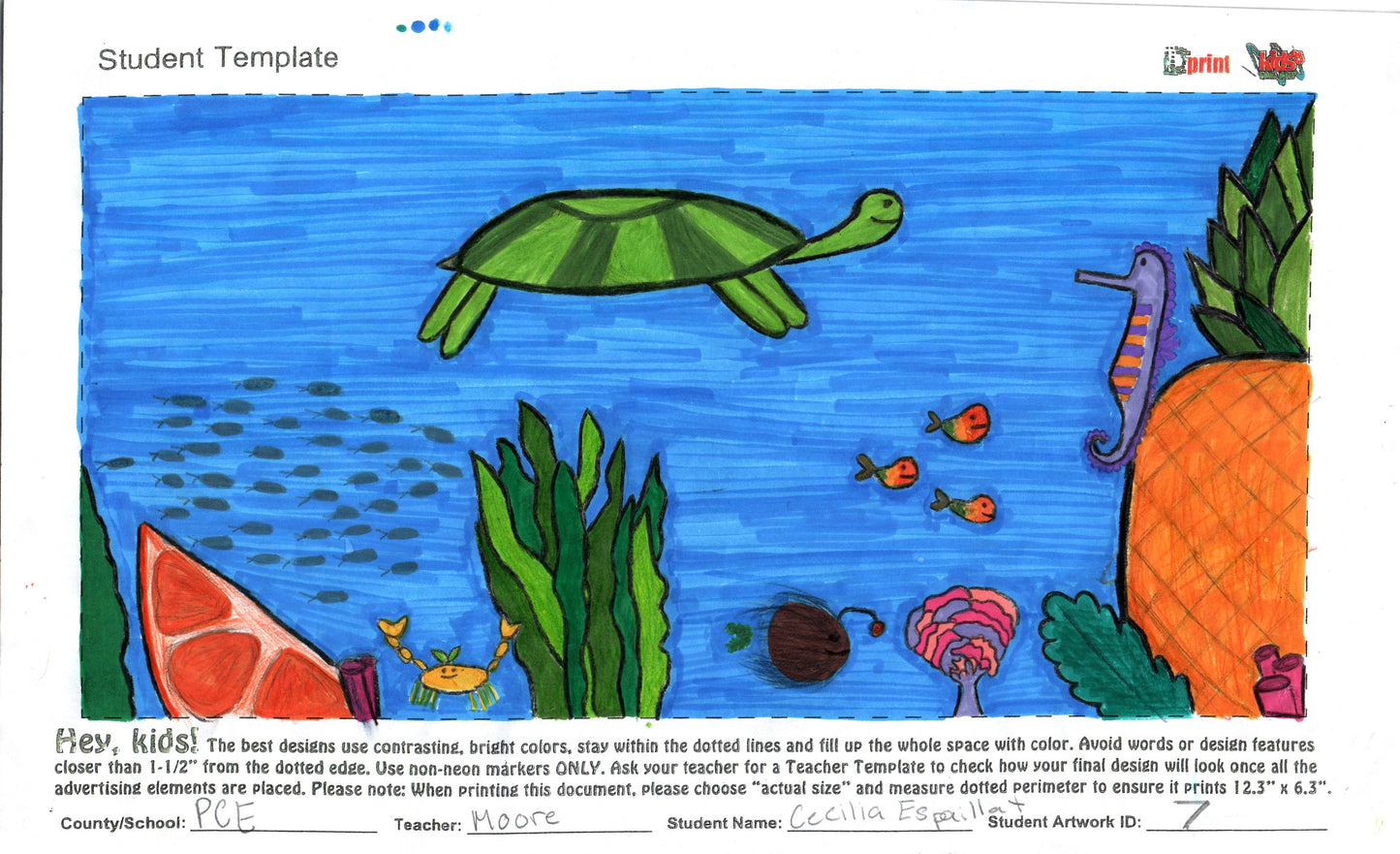 Cecilia Espaillat - Palm City Elementary