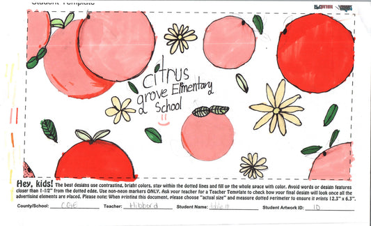 2025 - CITRUS GROVE ELEMENTARY - HIBBERD