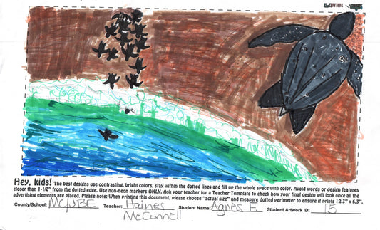 2025 - JENSEN BEACH ELEMENTARY - McCONNELL