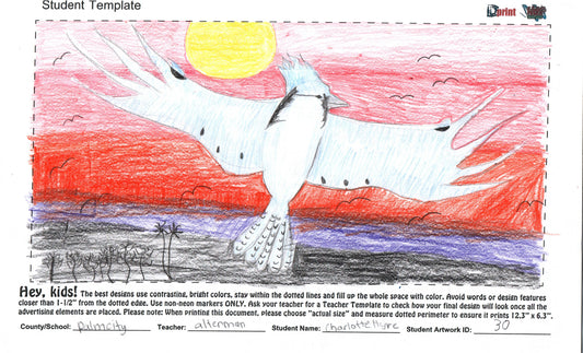 2025 - PALM CITY ELEMENTARY - ALTERMAN