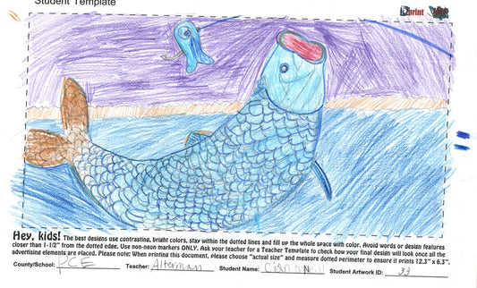 2025 - PALM CITY ELEMENTARY - ALTERMAN