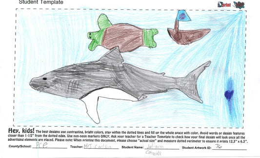 2025 - PALM CITY ELEMENTARY - CARLSON