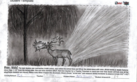 2025  - PALM CITY ELEMENTARY - CARLSON