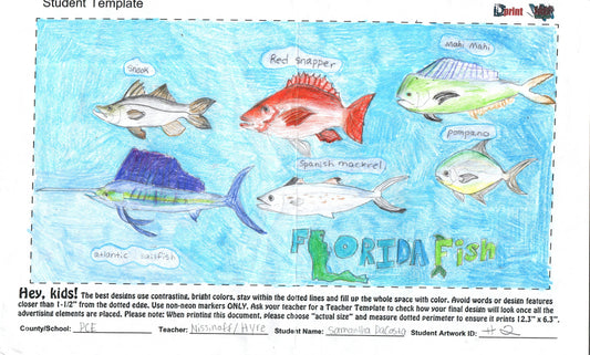 2025 - PALM CITY ELEMENTARY -  HYRE