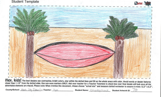 2025 - PALM CITY ELEMENTARY - HYRE