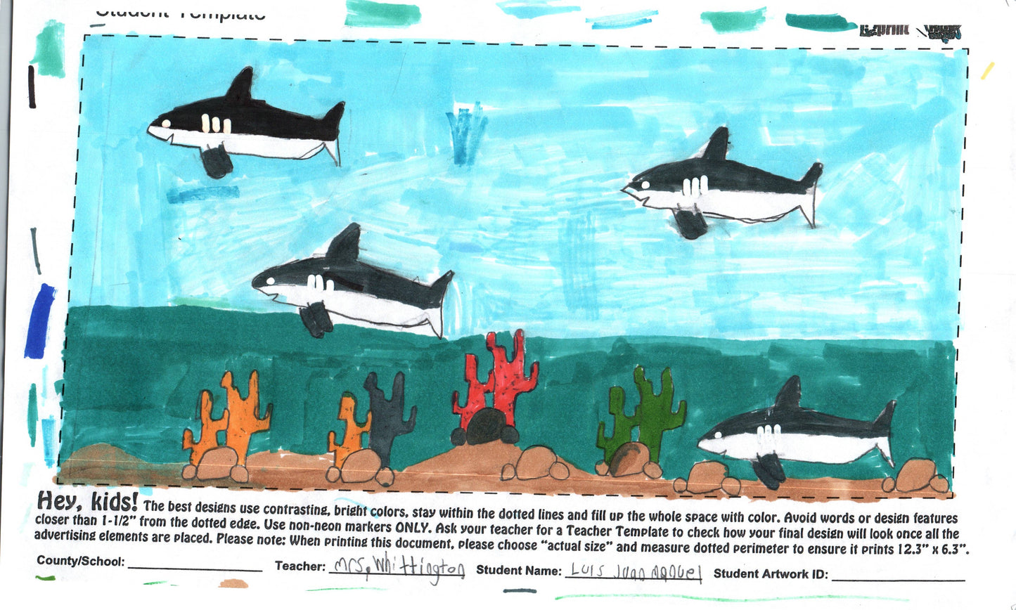 2025 - PORT SALERNO ELEMENTARY - WHITTINGTON