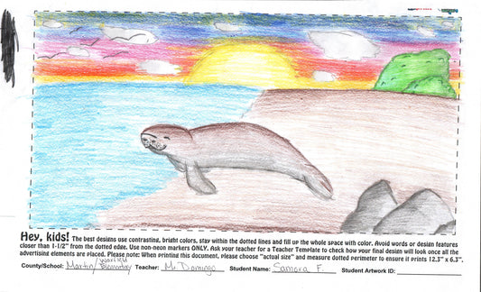 2025 - WARFIELD ELEMENTARY - HILL